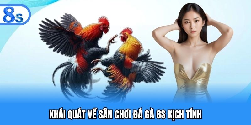 Khái quát về sân chơi đá gà 8S kịch tính