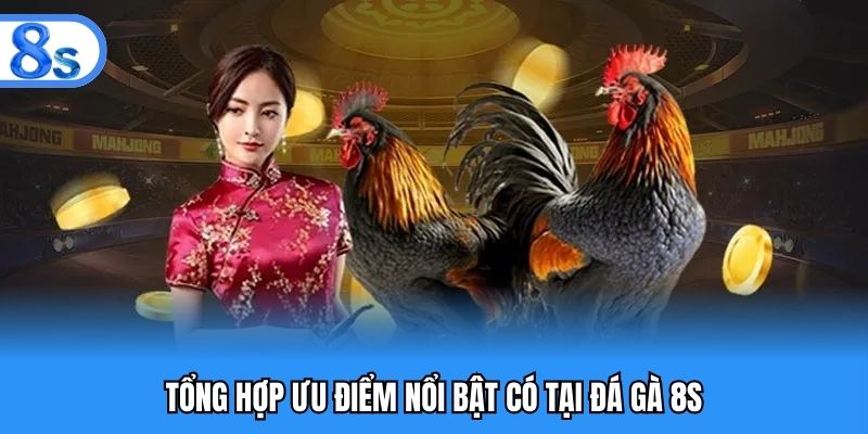 Tổng hợp ưu điểm nổi bật có tại đá gà 8S