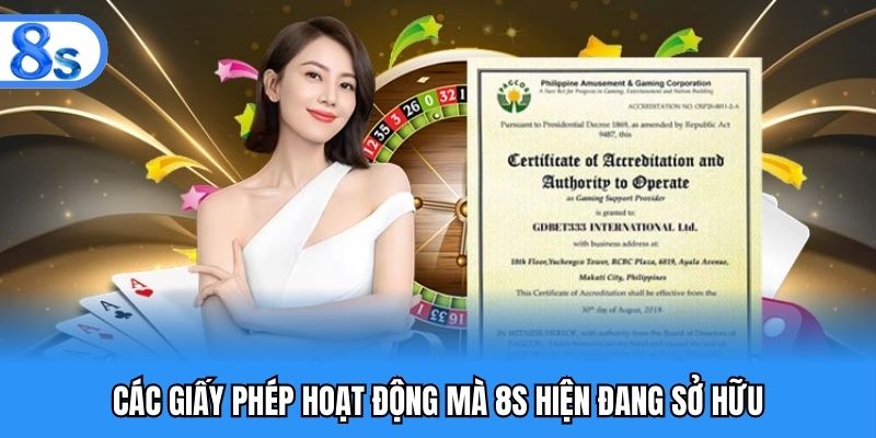 Các giấy phép hoạt động mà 8S hiện đang sở hữu