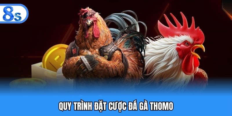 Hướng dẫn bet thủ đặt cược đá gà Thomo