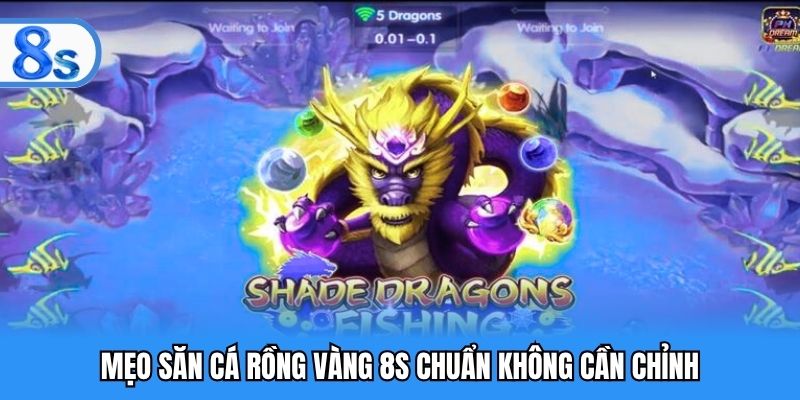 Mẹo săn cá Rồng Vàng 8S chuẩn không cần chỉnh