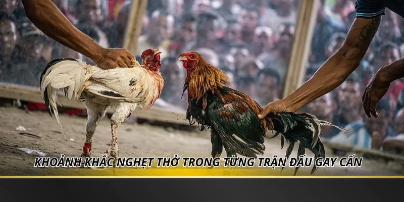 Khoảnh khắc nghẹt thở trong từng trận đấu gay cấn
