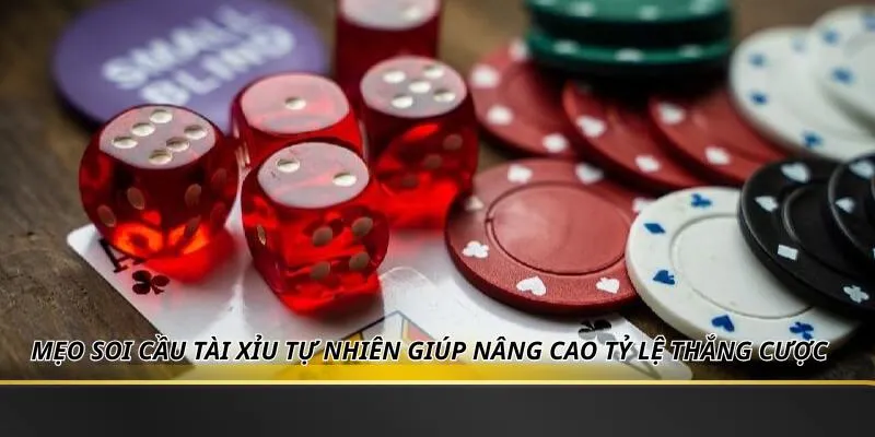 Mẹo soi cầu tài xỉu tự nhiên giúp nâng cao tỷ lệ thắng cược