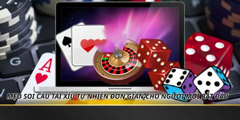 Mẹo Soi Cầu Tài Xỉu Tự Nhiên Đơn Giản Cho Người Mới Bắt Đầu